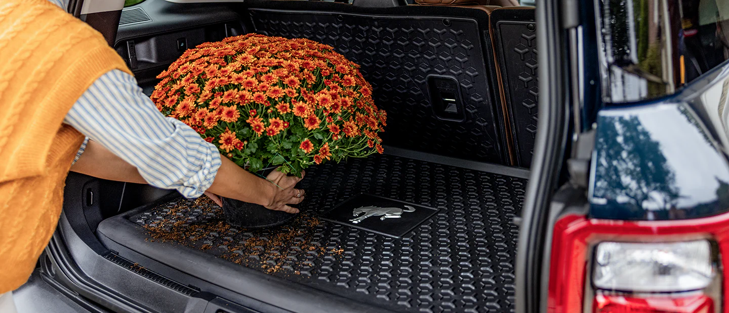 Estilo Ford en cada detalle